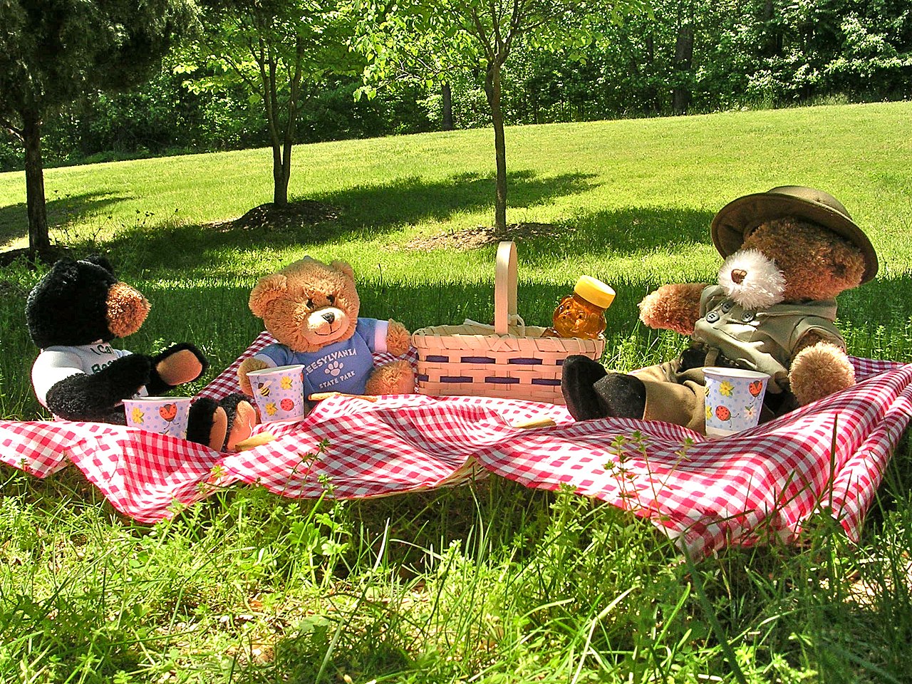 Teddy bears on a picnic blanket