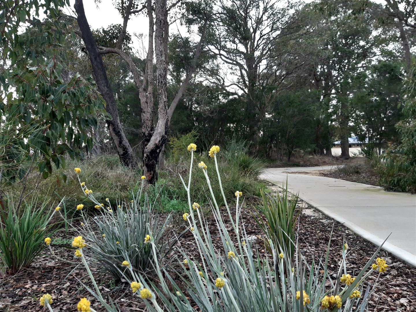 Humphrey Park Pinjarra