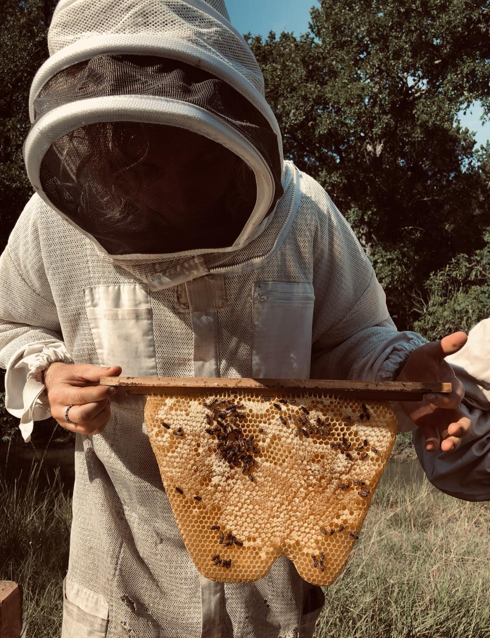 Buzzing World of Bees & Honey with COASTAL NECTAR